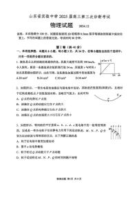 山东省山东实验中学2025届高三第三次诊断考试物理试卷+答案