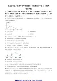 2024～2025学年湖北省市级示范高中智学联盟高二(上)12月联考(月考)物理试卷(含答案)