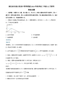 湖北省市级示范高中智学联盟2024-2025学年高二上学期12月联考物理试卷（Word版附解析）