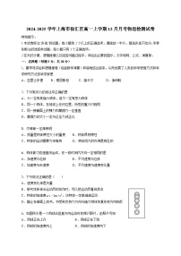 2024-2025学年上海市徐汇区高一上学期12月月考物理检测试卷（含答案）