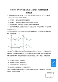 2024-2025学年四川省眉山市高一上学期11月期中物理质量检测试题（含答案）