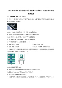 2024-2025学年四川省眉山市仁寿县高一上学期11月期中联考物理检测试题（含答案）