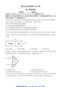 2024～2025学年湖北省武汉市高三(上)12月月考物理试卷(含答案)