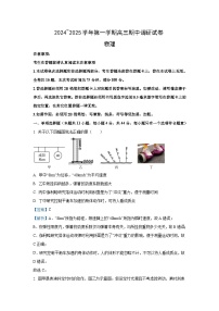 江苏省苏州市2024-2025学年高三(上)11月期中物理试卷(解析版)