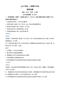 四川省眉山市仁寿第一中学（北校区）2024-2025学年高一上学期11月期中物理试卷（Word版附解析）