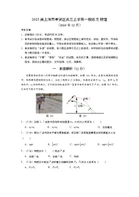 上海市奉贤区2024-2025学年高三上学期一模练习物理试题（含答案）