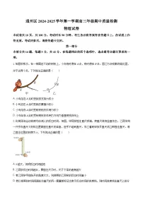 2025北京通州区高三上学期11月期中物理试题含解析
