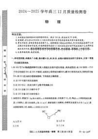 山西省部分学校2024-2025学年高三上学期12月联考物理试题