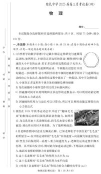 湖南省长沙市雅礼中学2024-2025学年高三上学期月考（四）物理试卷（PDF版附解析）