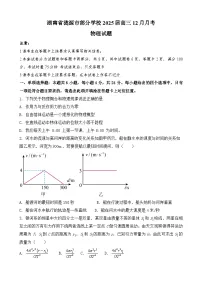湖南省娄底市涟源市部分学校2024-2025学年高三上学期12月月考物理试卷（Word版附答案）