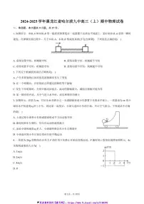 2024～2025学年黑龙江省哈尔滨九中高三(上)期中物理试卷(含答案)