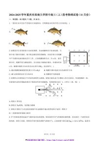 2024～2025学年重庆市西南大学附中高三(上)月考物理试卷(11月份)(含答案)