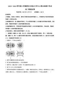 湖北省武汉市重点中学5G联合体2023-2024学年高二上学期期中物理试题（原卷版）