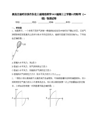 黑龙江省哈尔滨市东北三省精准教学2025届高三上学期12月联考（一模）物理试卷(含答案)