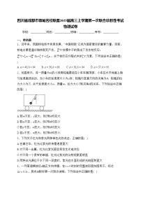 四川省成都市蓉城名校联盟2025届高三上学期第一次联合诊断性考试物理试卷(含答案)