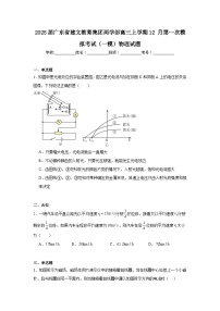 2025届广东省建文教育集团两学部高三上学期12月第一次模拟考试（一模）物理试题