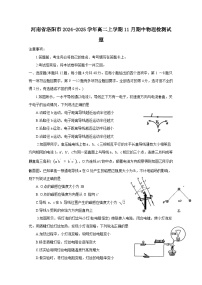 河南省洛阳市2024-2025学年高二上册11月期中物理检测试题（附答案）