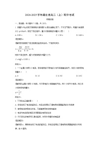湖北省2024-2025学年高二(上)期中联考物理试卷（解析版）