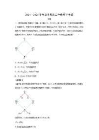 河南省濮阳市2024-2025学年高二(上)期中物理试卷（解析版）