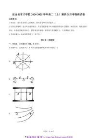 2024～2025学年安徽省滁州市定远县育才学校高二(上)第四次月考物理试卷(含答案)