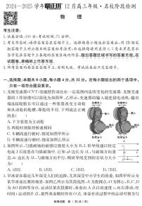 安徽省“耀正优”2024-2025学年高三上学期12月名校阶段检测物理试卷（PDF版附解析）