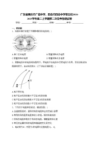 广东省肇庆市广信中学、四会市四会中学等五校2024-2025学年高二上学期第二次段考物理试卷(含答案)