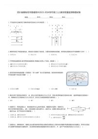 四川省攀枝花市普通高中2023-2024学年高二(上)教学质量监测物理试卷(含解析)