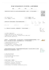 四川省广安市友实学校2023-2024学年高一(上)期中物理试卷(含解析)