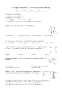 四川省遂宁市射洪中学校2023-2024学年高二(上)10月月考物理试卷(含解析)