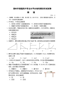 江苏省扬州市2024-2025学年高二上学期学业水平合格性模拟考试物理试题