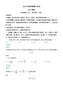 广西北海市合浦县2024-2025学年高二上学期期中检测物理试题（Word版附解析）