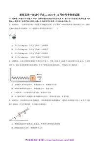 2024～2025学年河南省驻马店市新蔡县第一高级中学高二(上)12月月考物理试卷(含答案)