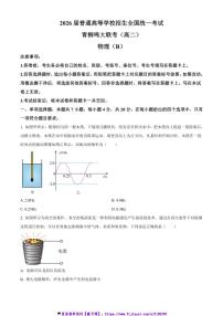 2024～2025学年河南省名校高二(上)12月联考(月考)物理试卷(B)(含答案)