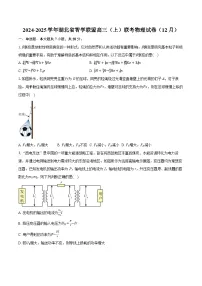湖北省市级示范高中智学联盟2024-2025学年高三上学期12月联考物理试卷（Word版附解析）