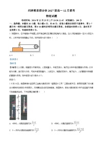 湖北省武汉市2024-2025学年高一上学期12月联考物理试卷（Word版附解析）