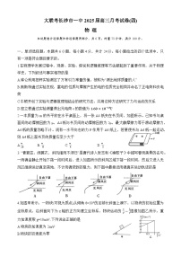 湖南省长沙市第一中学2024-2025学年高三上学期第四次月考物理试卷（Word版附解析）