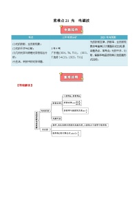 重难点21 光 电磁波-2025年高考物理 热点 重点 难点 专练（广东专用）