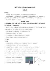 2025届成都石室中学高三上学期12月适应性测试演练模拟考试物理试题+答案