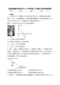 四川省成都市某中学2024-2025学年高三上学期12月月考物理试卷(含答案)
