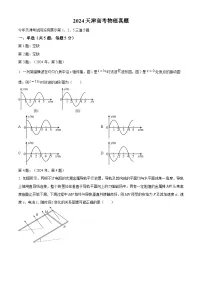 2024年新高考天津卷物理真题（原卷版+解析版）