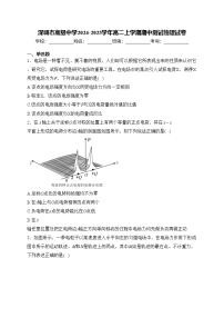 深圳市高级中学2024-2025学年高二上学期期中测试物理试卷(含答案)