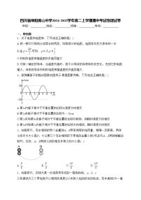 四川省绵阳南山中学2024-2025学年高二上学期期中考试物理试卷(含答案)