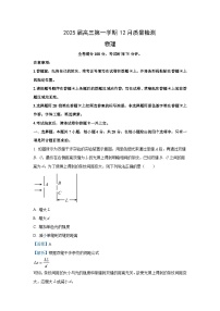 河南省名校联盟2024-2025学年高三（上）12月联考物理试卷（解析版）