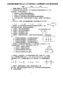 上海市晋元高级中学2024-2025学年高二上学期12月月考物理试卷