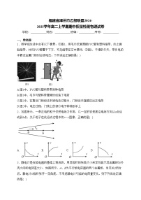 福建省漳州市乙级联盟2024-2025学年高二上学期期中质量检测物理试卷(含答案)