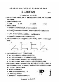 2025北京朝阳高二（上）期末物理试题及答案