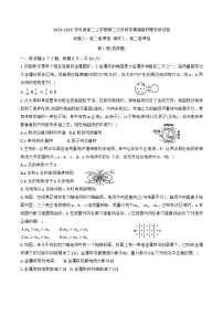 天津市实验中学2024-2025学年高二上学期12月月考物理试题