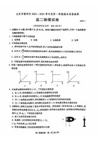 北京市朝阳区2024-2025学年高二上学期期末质量检测物理试题