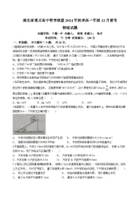 2025湖北省重点高中智学联盟高一上学期12月联考物理试题含解析