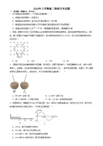 湖南省岳阳市汨罗市第一中学2024-2025学年高二上学期12月月考物理试卷（Word版附答案）
